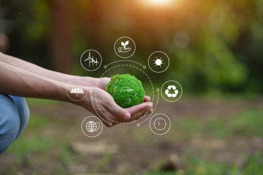 Hands Holding Moss Globe with Environmental Sustainability Icons