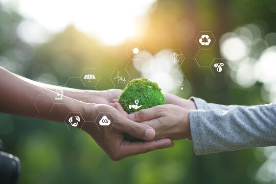 Hands Holding Moss Globe with Eco-Friendly Icons