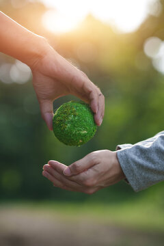 Hand Passing Moss Earth Globe for Sustainability and Environmental Care