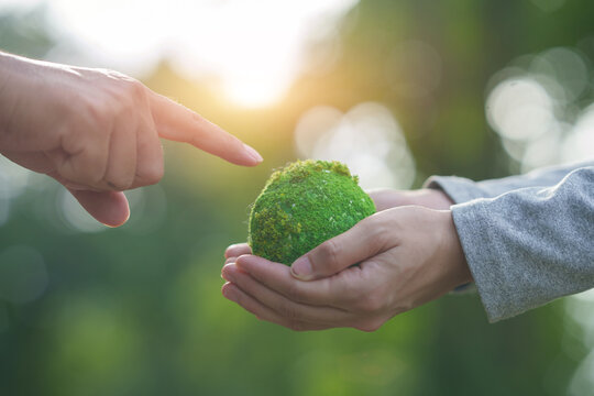 Hand Pointing and Holding Green Moss Planet Globe for Environmental Care