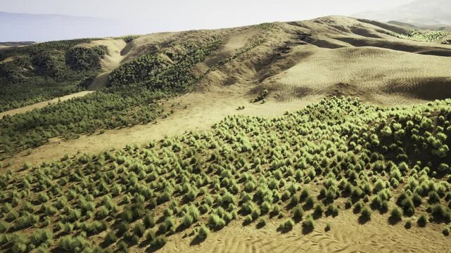 Texture rich shrubland from aerial perspective showing patchy vegetation and rugged groundcover ecological research focusing on resilience and adaptation