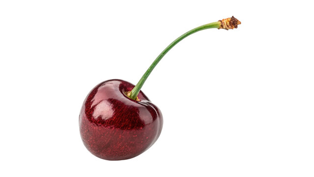 Single whole fresh red cherry fruit with green stem isolated on transparent background cut out