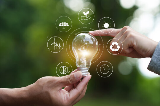 Hands Holding Glowing Lightbulb Surrounded by Sustainability Icons