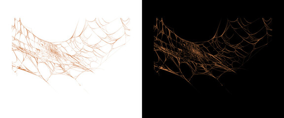 Spooky spider web isolated on white and black backgrounds, creepy halloween cobweb design elements, realistic spiderweb texture © RafatJahan