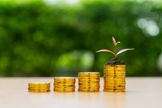 Growing plant on stack of gold coins with green background.