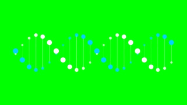 Stylized DNA Molecule Model with White and Blue Circles on a Green Screen Background for Science and Biotechnology Video Production