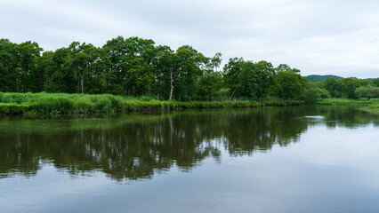 Fototapeta premium Quiet forest river reflecting trees in Kiritappu Wetland eastern Hokkaido