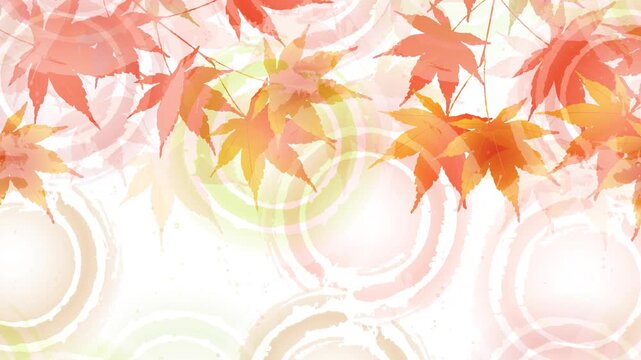 Autumn Maple Leaves and Ripple Patterns 4K