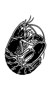 Detailed Lobster Hand Drawn Engraving Style Vector Illustration for Seafood Menu or Marine Logo