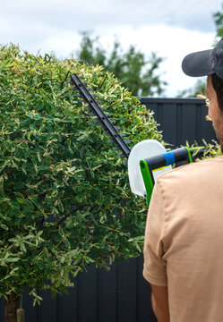A gardener trims bushes. Selective focus.