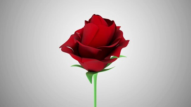Single red rose slowly rotating to reveal layered petals and green stem against a clean soft gray backdrop in elegant floral 3D animation