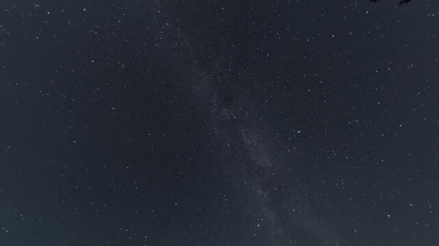 Night sky sequence showing star movement across a dark frame. Milky Way band shifts over silhouetted treetops during long‑exposure starlapse video. 