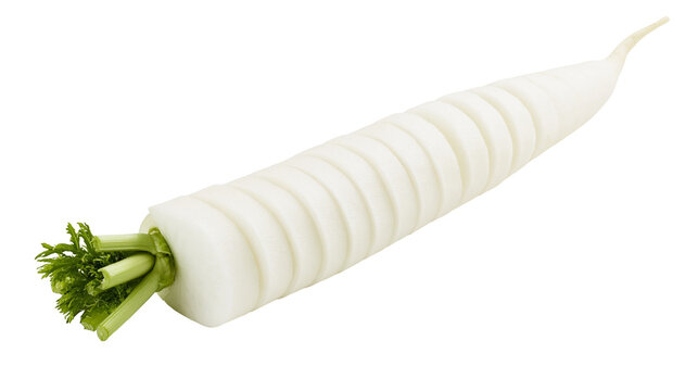 Daikon radish sliced in rings with green leafy tops