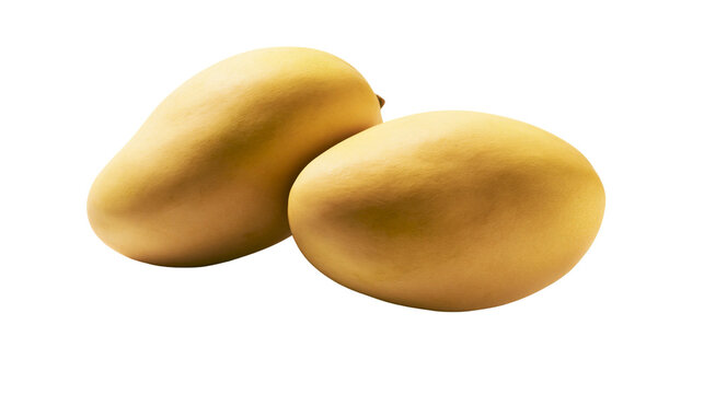 Two ripe yellow mangoes on white