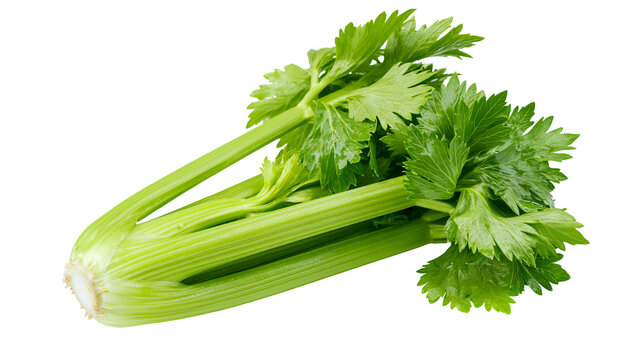 Fresh green celery stalks with leaves