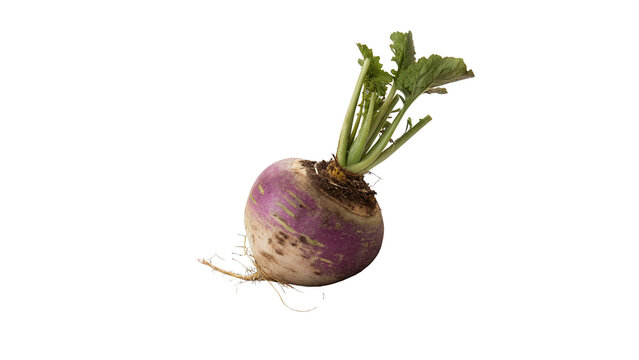 Fresh raw round purple radish turnip root vegetable isolated on transparent background
