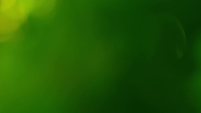 Translucent bubble bokeh shimmering over dark green forest canopy, peaceful nature overlay