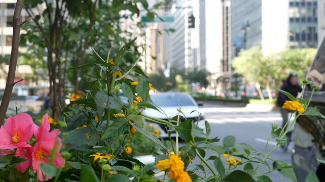 Manhattan Midtown East straight street, Park avenue New York City Turtle bay, United States. Yellow taxi car, urban road traffic. Summer flowers on boulevard. Transport and greenery in East Side.