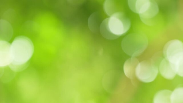 Glittering golden-green bokeh clusters dancing and flickering in wind, lively nature overlay
