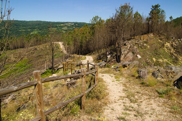 Fototapeta premium Landscapes Along the Hiking Route from Os Peares to Mirador Alto de Picota viewpoint in Ribeira Sacra, Galicia, Spain