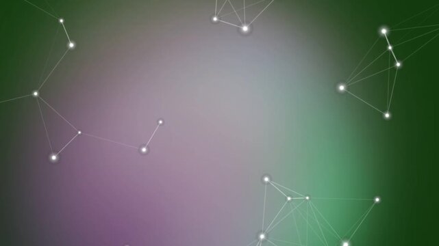 vector illustration of a spider web