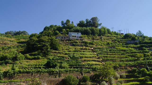 Landscapes Along the Hiking Route from Os Peares to Mirador Alto de Picota viewpoint in Ribeira Sacra, Galicia, Spain