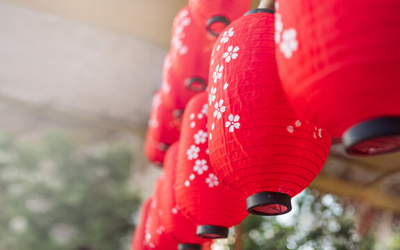 Japanese lanterns decorated in cherry blossom festival.