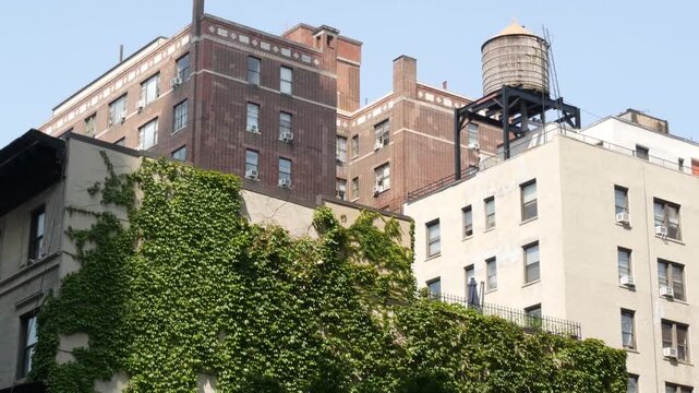 New York City urban building architecture, Manhattan rooftop, United States of America. Water tower on roof. Classic water tank. Ivy greenery on wall. Vine climber creeper plant on house, green leaves