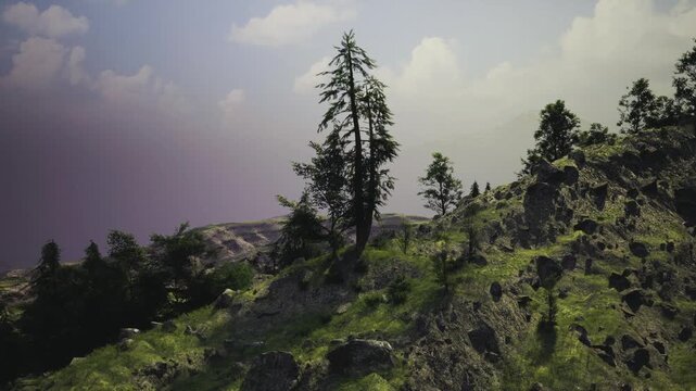 Solitary pine atop rugged rocky outcrop with windswept branches and patchy grass, distant forest under moody sky, high contrast lighting and textured granite,