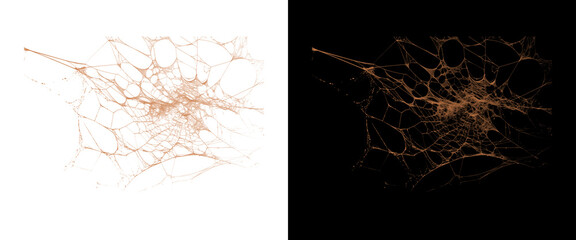 Spooky spider web texture on white and black backgrounds, creepy cobweb design elements for Halloween graphics