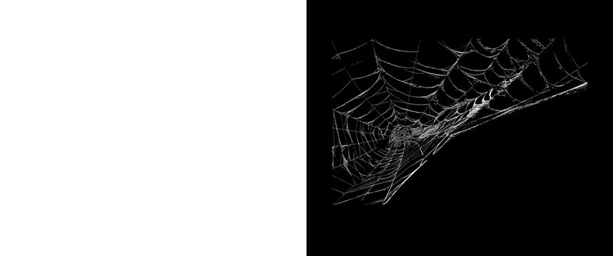 Spooky spider web on black background, creepy cobweb texture for Halloween design, dark gothic graphic element