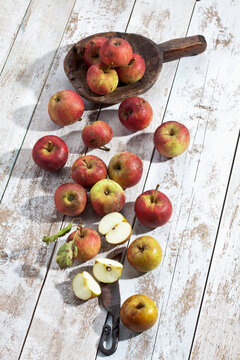 Organic apples (Malus), a knife and a wooden spoon on white wooden table, studio shot