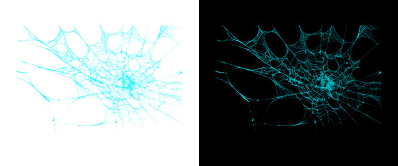 Naklejka premium Abstract digital spiderweb on white and black backgrounds, glowing cyan cobweb design, futuristic network graphic elements
