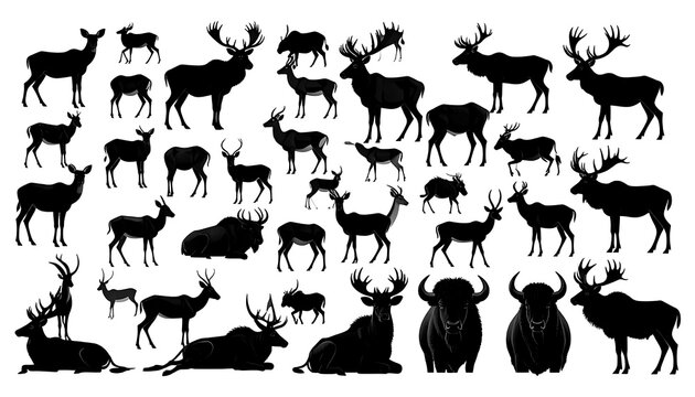 Black and white herd of running horses.