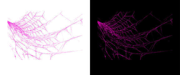 Naklejka premium Pink spiderweb design elements, spooky cobweb graphics on black and white backgrounds, Halloween decorative assets