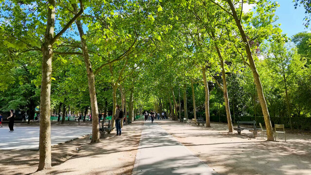 Man with Backpack Standing on Tree Lined Path in Paris Park