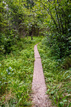 The peaceful view of the scenic park in Isle Royal NP, Michigan