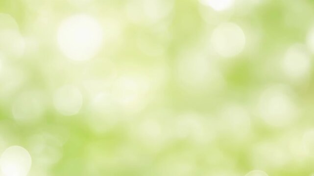 Soft green and white bokeh light background with circular highlights