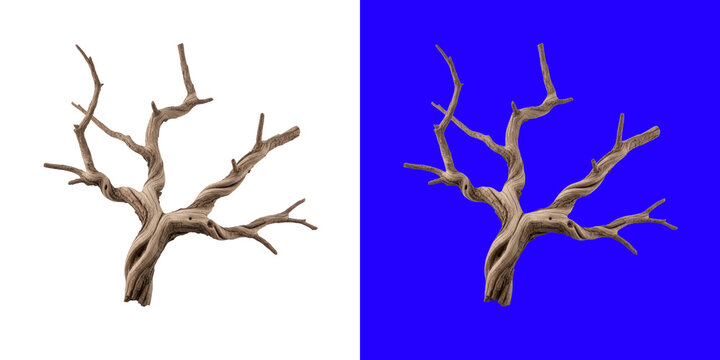 A single dead tree with dry brown branches standing alone in a minimalist style transparent png