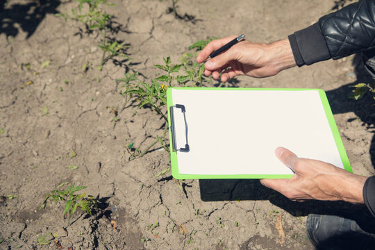 Man checking green plants in the garden and writes on clipboard.