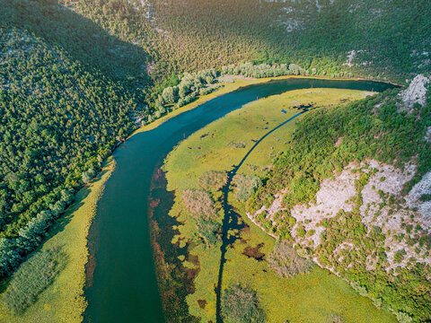 Lake Skadar wetland showing a winding channel through dense green water lilies and aquatic vegetation