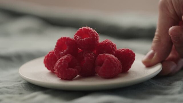 Slow motion man hand put fresh ripe raspberries on a white saucer