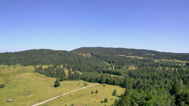 An aerial drone glides over green meadows and conifer forest in Sekulici on Tara Mountain, Serbia, revealing a winding road, scattered cabins and rolling hills beneath a clear blue sky.
