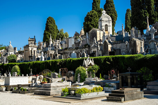 Friedhof du Ch&acirc;teau in Nizza
