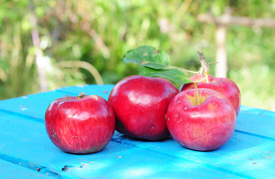 Red Apple harvest ripe sweet fruit