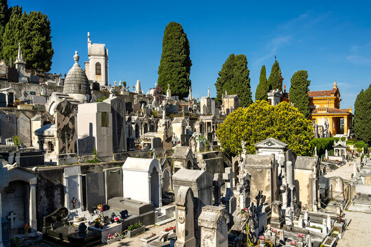 Friedhof du Ch&acirc;teau in Nizza