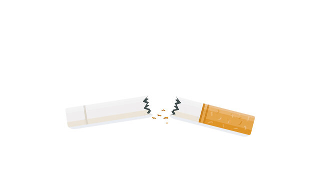 Broken cigarette with tobacco spilling out
