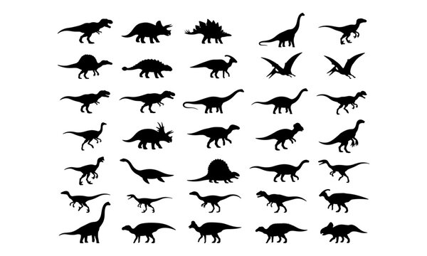 Dinosaur Silhouette Set Collection on White Background