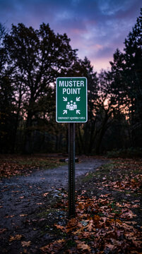 A green sign indicating a muster point in a forest with fallen leaves, symbolizing safety and emergency preparedness in nature