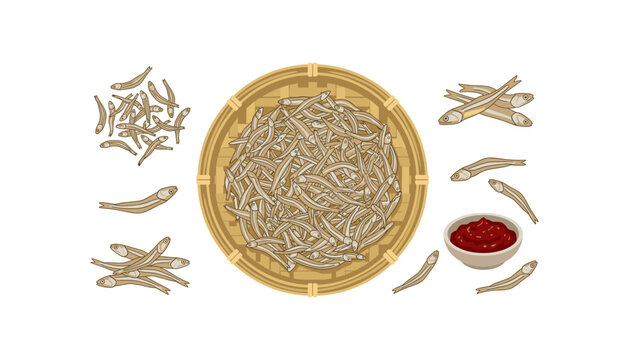 Dried anchovies vector illustration set featuring small fish heap in bamboo basket single silver mini fish piles and spicy red chili paste dipping bowl on white background